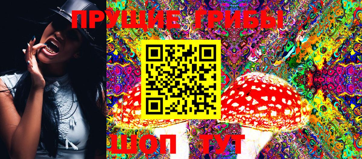 Галлюциногенные грибы Cubensis Ипатово