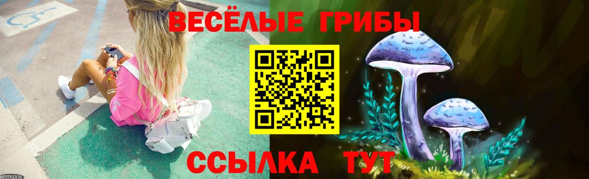 Ипатово  Псилоцибиновые грибы мухоморы  Вход с VPN  Псилоцибиновые грибы Magic Shrooms 